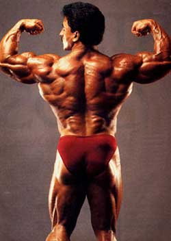 Samir Bannout Picture